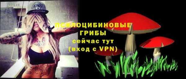 эйфоретик Аркадак